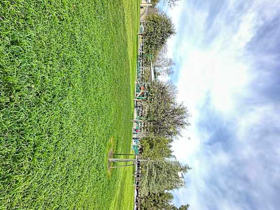 Grassy field with trees at City View Apartments at Warner Center, Woodland Hills, CA 91367
