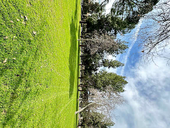 Grassy field with trees at City View Apartments at Warner Center, Woodland Hills, CA