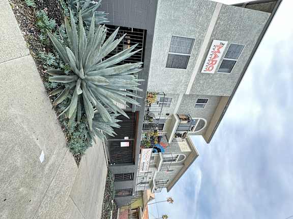 a view of the side of a building with a cactus at The Marq Apartments LLC, Los Angeles, California