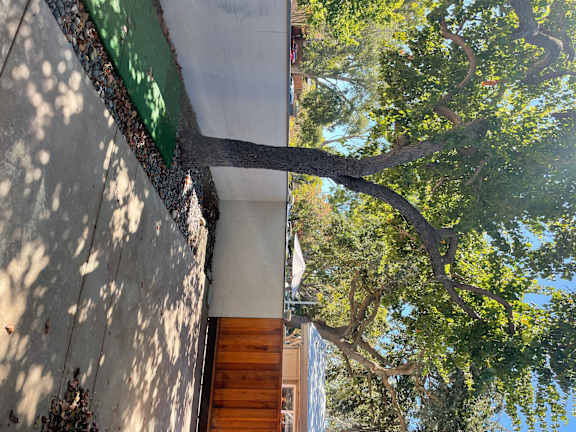 walkway