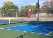 Thumbnail 7 of 11 - Come play Pickleball on our new courts!