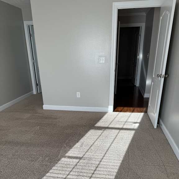 A sunlit room with a window and a white door.