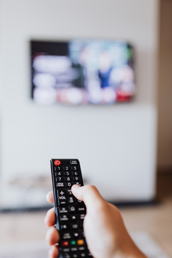 TV Remote at Ralston Courtyards, California