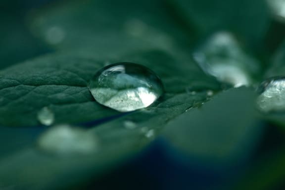 Water at Ralston Courtyards, California, 93003