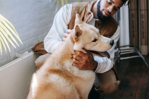 man_and_dog at Siena Apartments, Santa Maria
