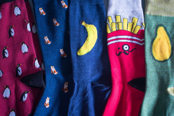Socks at Encina Meadows, Goleta