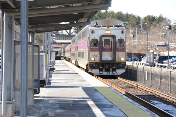 Photos and Video of Ashland Woods in Ashland, MA