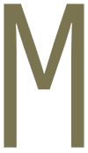 a green letter m with a white background