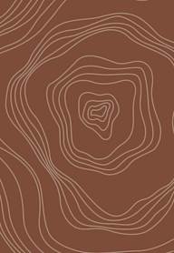A topographic map with contour lines indicating elevation changes.