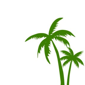 a palm tree silhouette on a black background