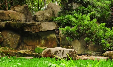 a large rock formation in a forest with trees at The Villages Apartment of Bayan Grove in Boynton Beach, FL