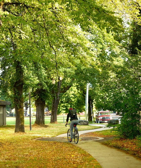 a person riding a bike down a sidewalk in a park