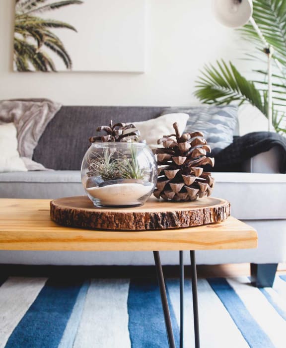 a living room with a coffee table with pine cones on it