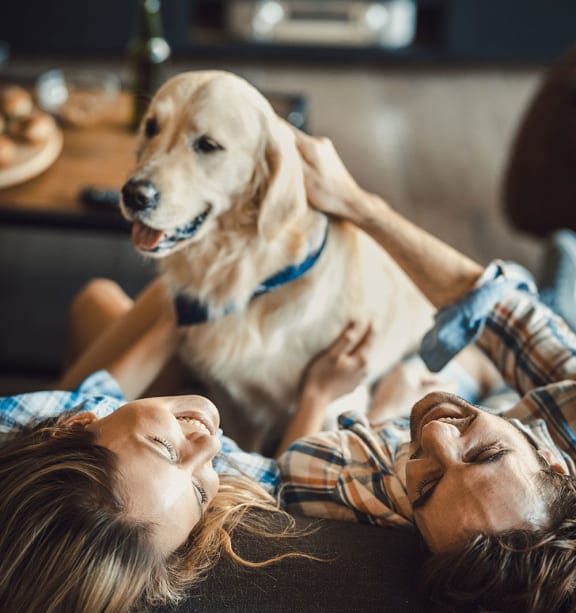 Pet friendly community at Chenal Pointe at the Divide, Little Rock, AR