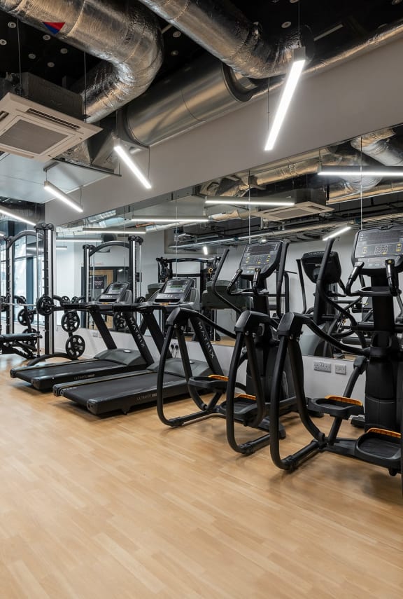 a group of treadmills and other exercise equipment in a gym