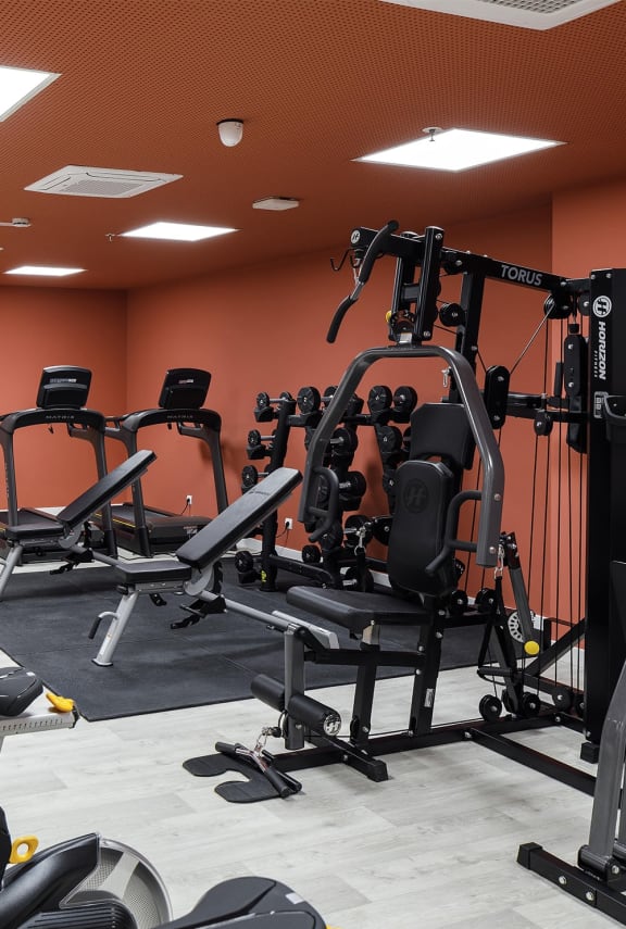 a gym full of exercise equipment in a treatment room