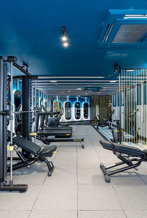 a gym with weights and a blue ceiling