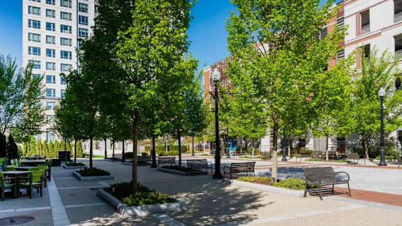 A city park with benches and trees.