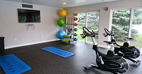 a home gym with a treadmill and exercise balls