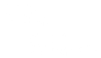 The image features the text "The Palms" written in a cursive font.