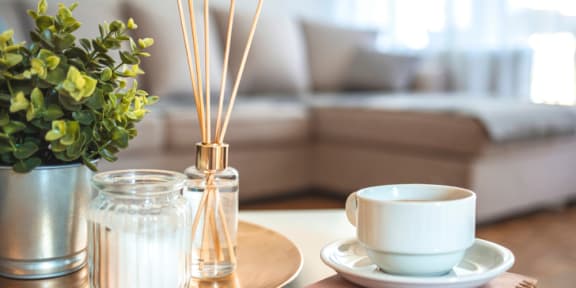 APARTMENT AMENITIES