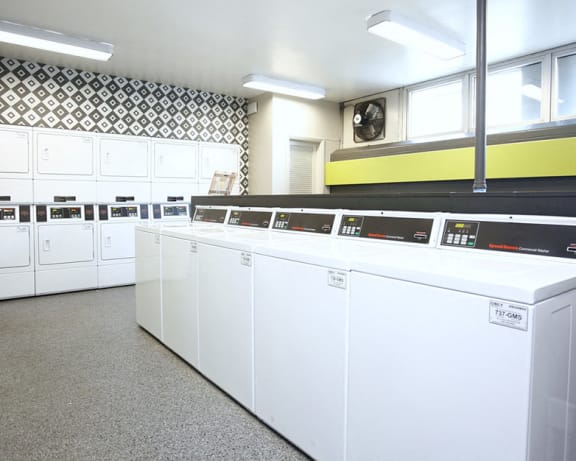 Photo Gallery Image
