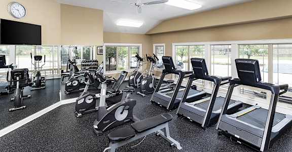a gym with various cardio equipment and windows