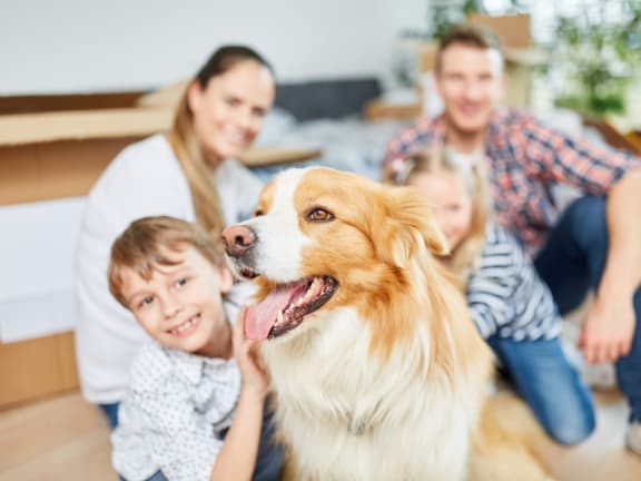 a family is sitting on the floor with their dog