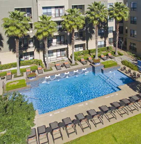 A pool surrounded by palm trees and lounge chairs.