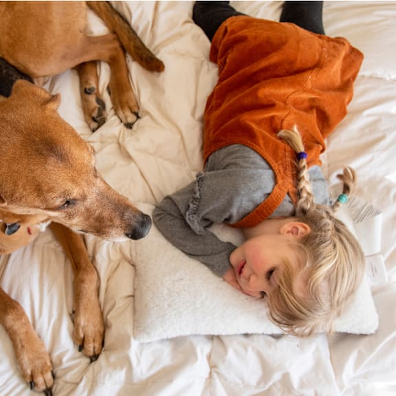 A dog and a child are lying on a white bed.