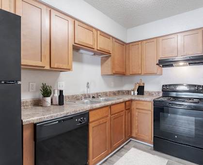 A kitchen with black appliances and wooden cabinets.