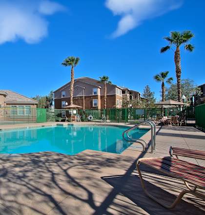 A pool surrounded by palm trees and sun loungers.