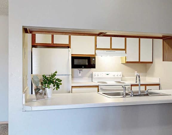 a kitchen with a sink, stove, and microwave.