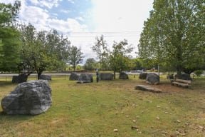 The Slate at Ninety Six - Dog Park With Lush Grass, Trees, Large Decorative Rocks, and a Wooden Bench