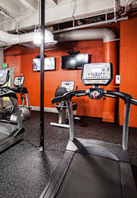 A gym with treadmills, exercise bikes, and other equipment.