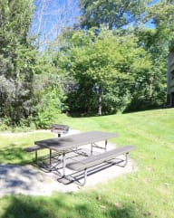 Wooded Views at Lakewood Apartments in Haslett, MI