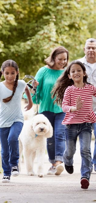 a family walking their dog down a sidewalk