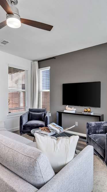 A living room with a grey couch, a black chair, a television, and a plant.