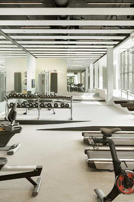 A gym with treadmills, stationary bikes, and elliptical machines.