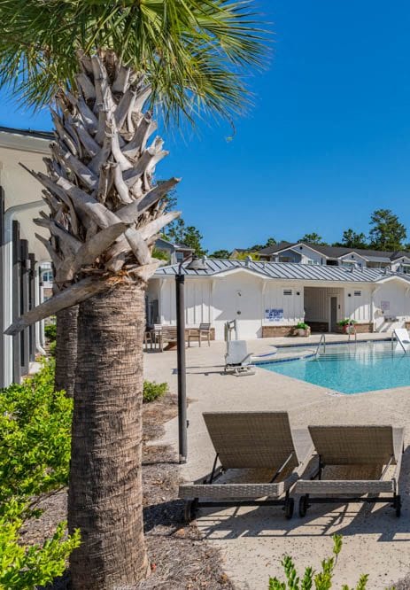 a resort style pool with chairs and palm trees