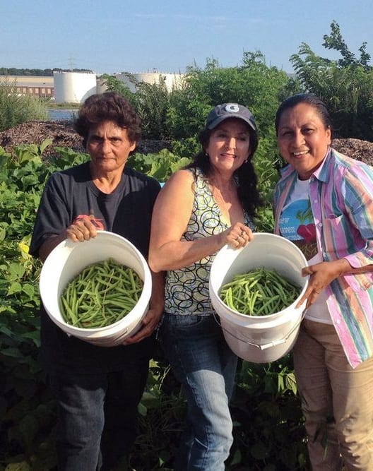 a group of people standing in a field holding bowls of green beans