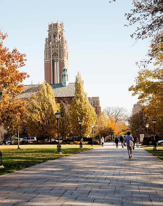 A park with a pathway, trees, and a clock tower in the background.