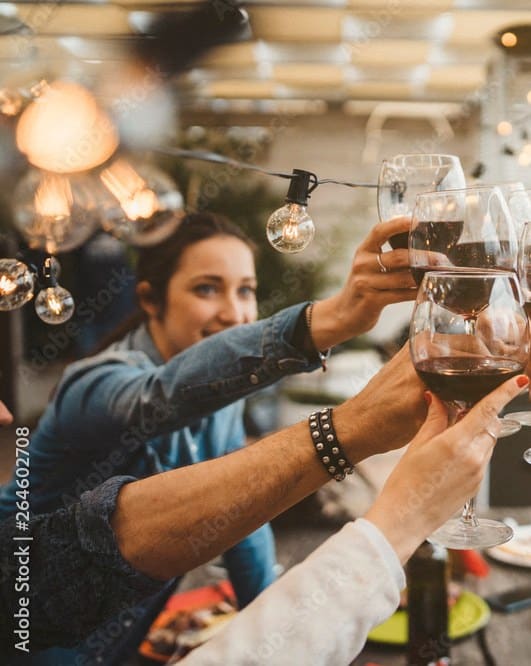 group of people toasting wine glasses at a dinner party