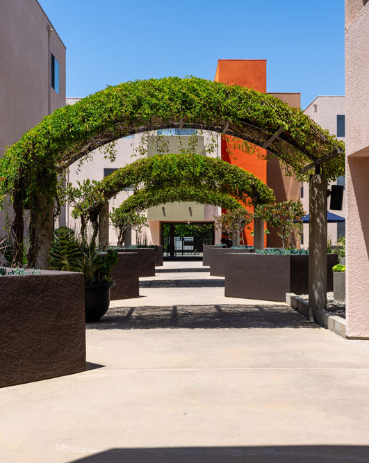 a walkway between two buildings with plants and an archway