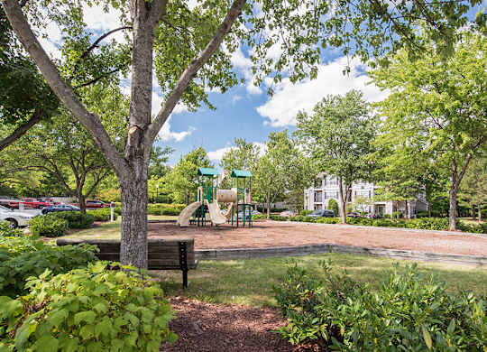 a wooded view of a playground with apartment buildings in the background.