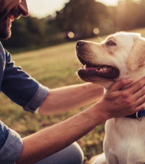 Pet Friendly at Baker Station, Antioch, TN, Tennessee , 37013