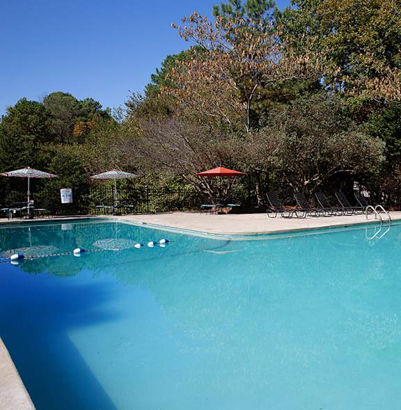 A large swimming pool surrounded by trees and umbrellas.