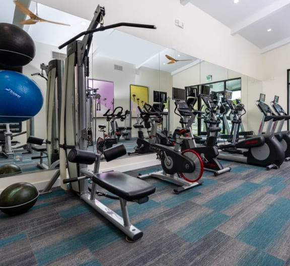 a gym with cardio equipment and weights in a building with windows