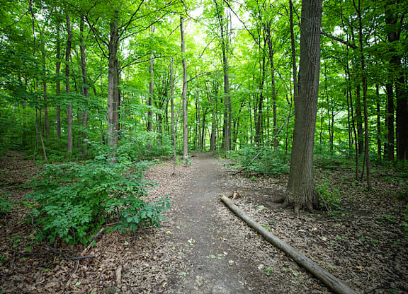 Cooksville Creek Trail
