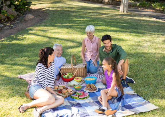 a family having a picnic in the park